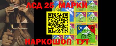 стаф Можга
