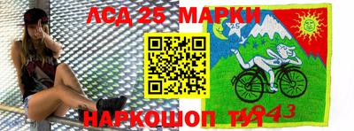 СК Моздок