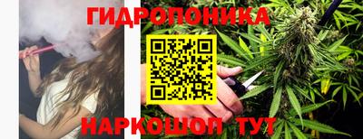 стаф Можга