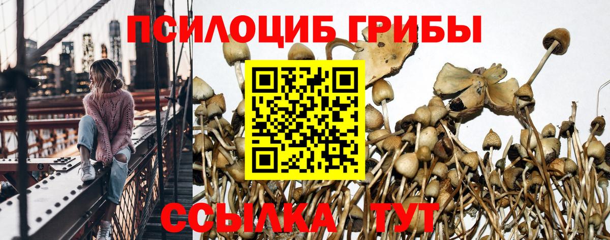 Псилоцибиновые грибы ЛСД  Вход с VPN  Красноперекопск 